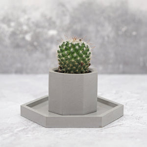 Octagonal Jesmonite Mini Pot & Hexagonal Tray