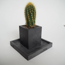 Load image into Gallery viewer, Square Concrete Mini Pot &amp; Tray