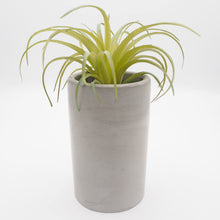 Load image into Gallery viewer, Large Concrete Vase/Toothbrush Holder